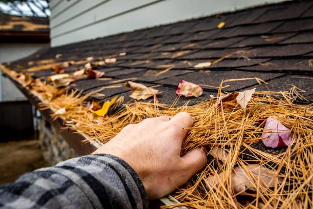 A person is cleaning a gutter with leaves and pine needles.