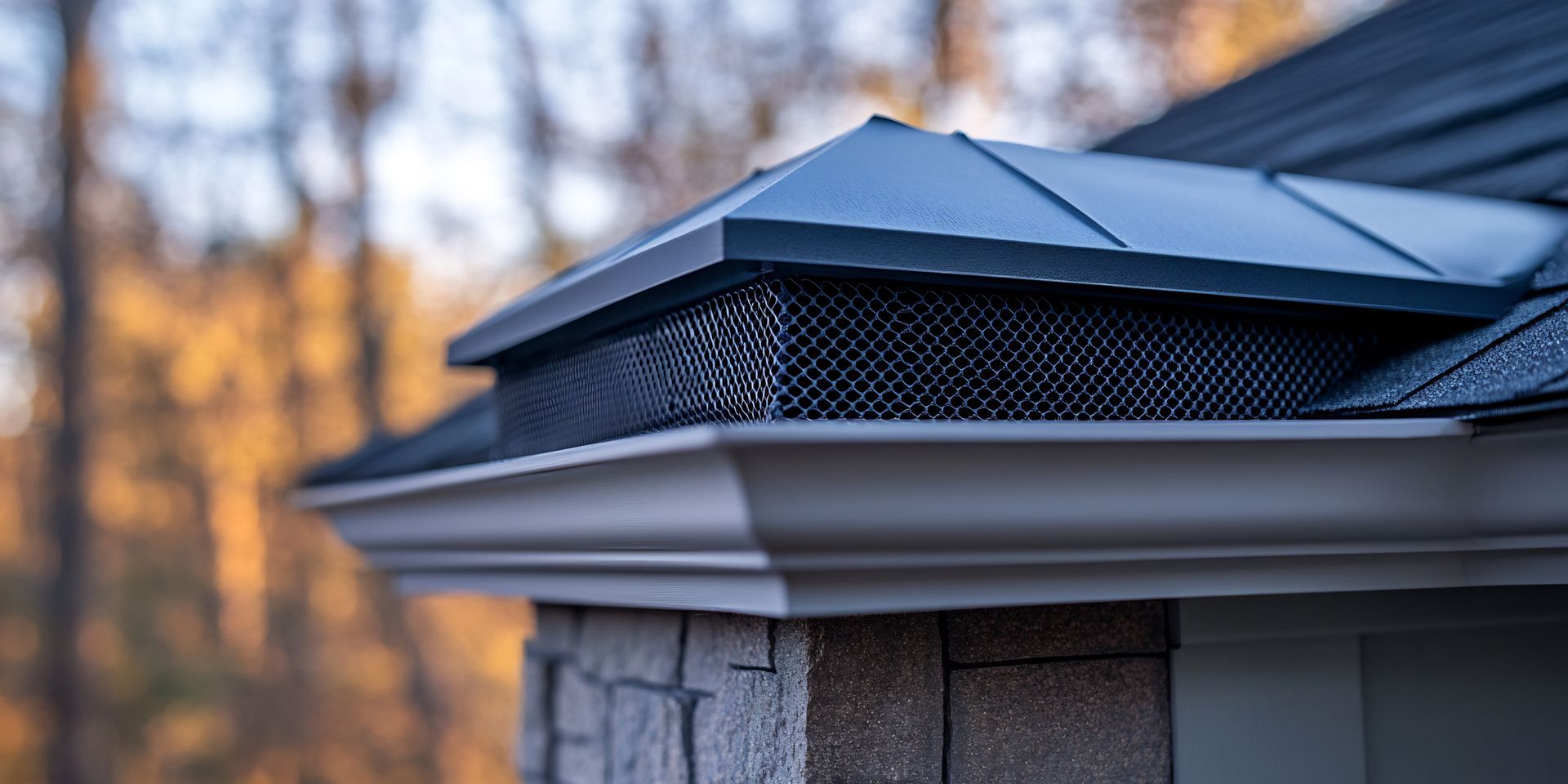 gutter screens in Red Wing, MN