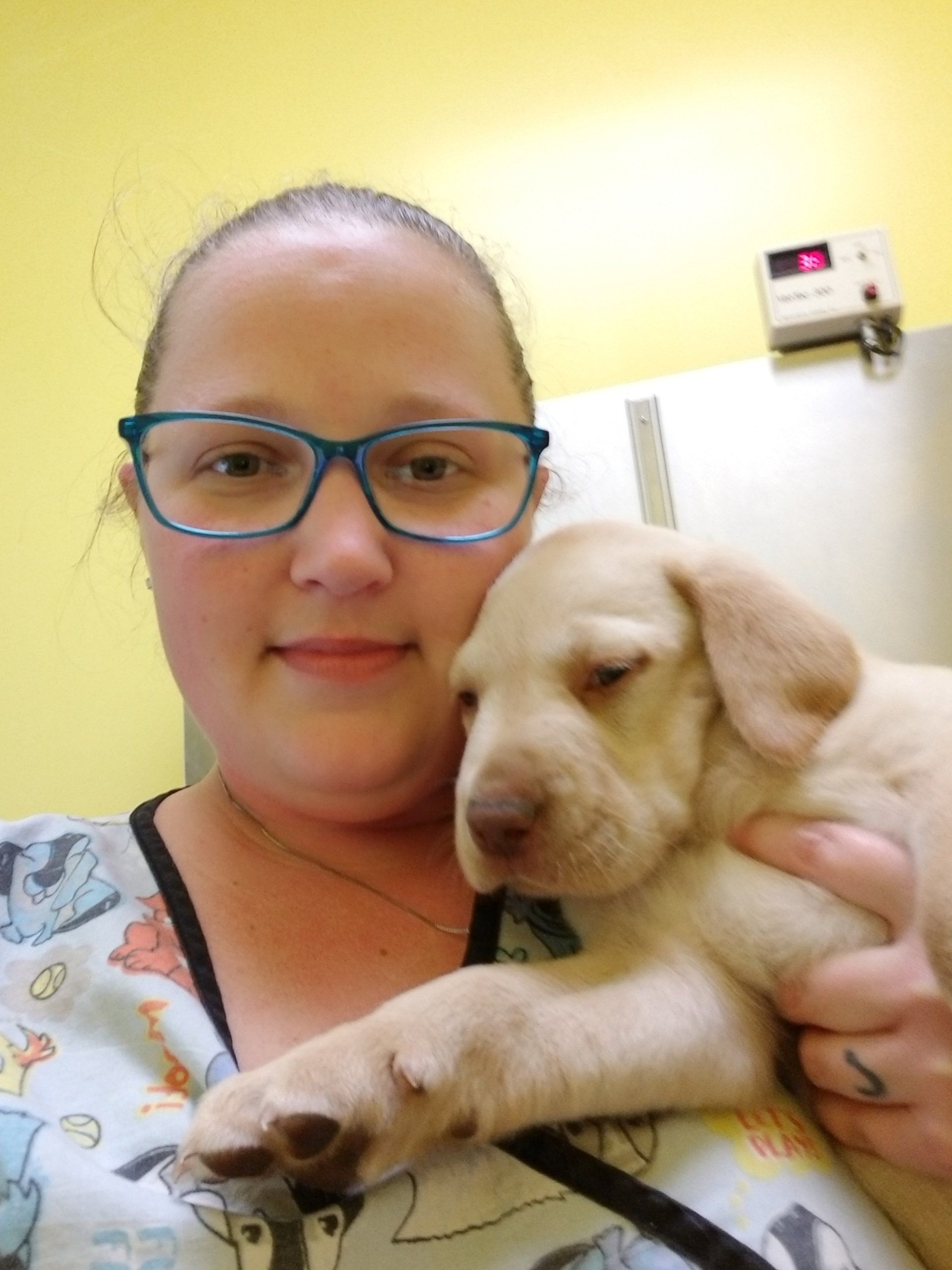 Animal Care — Joyie Durgin in Mt. Pleasant SC