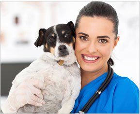 Animal Hospital — Veterinarian with Dog in Mt. Pleasant SC