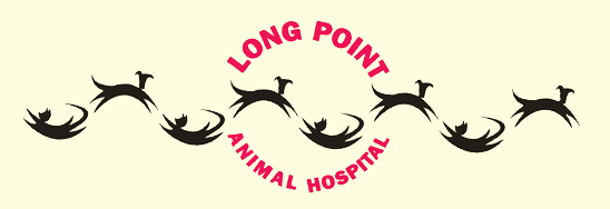 Long Point Animal Hospital