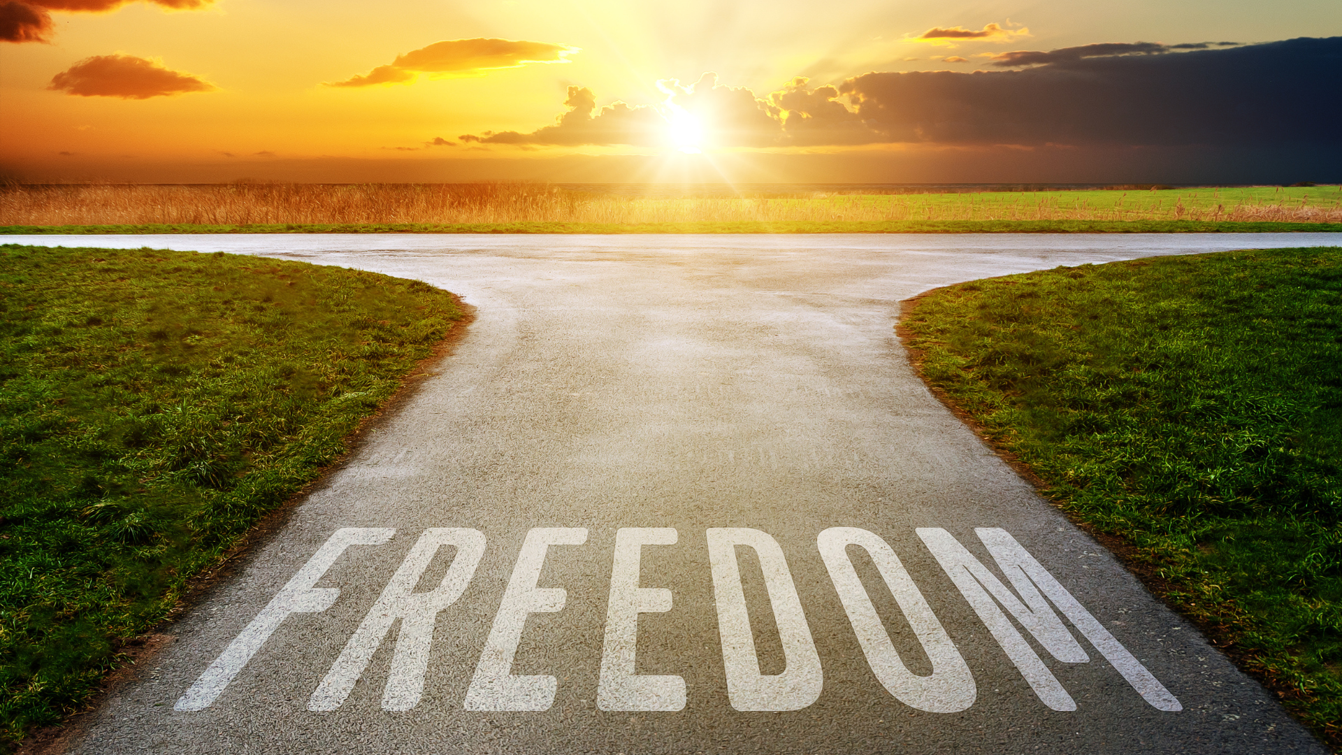 The word freedom is painted on the side of a road.