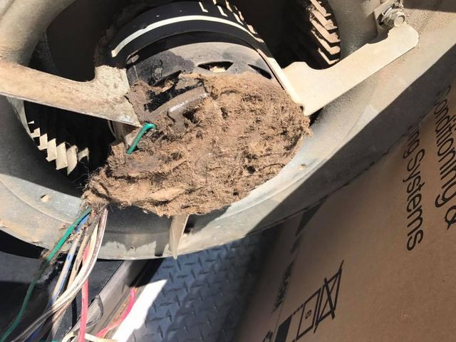 Dirty Air Filter — Omaha, NE — Millard Heating & Cooling