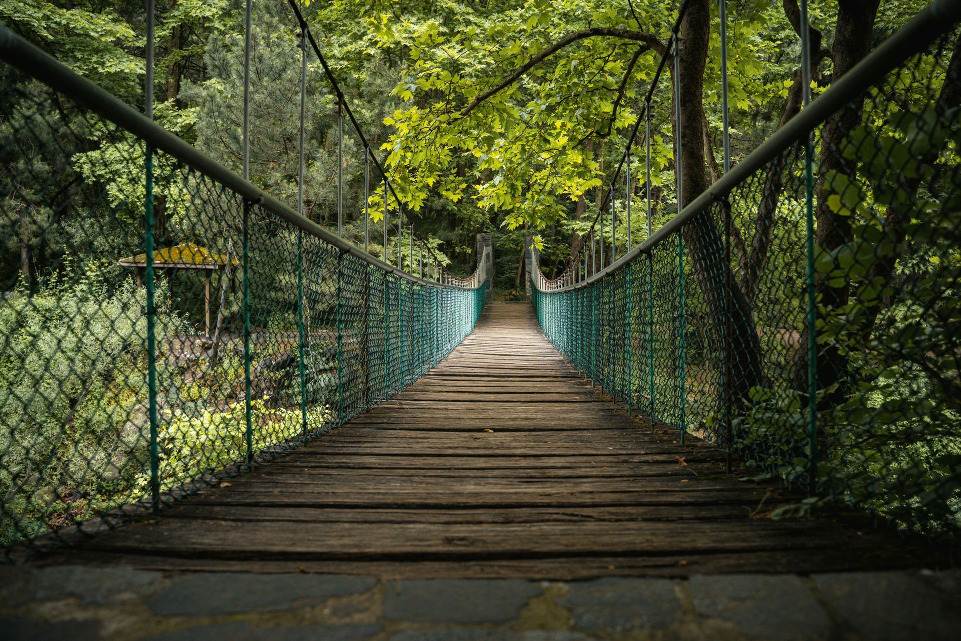 Wooden suspension bridge in a lush green forest, sunlight filtering through the trees.