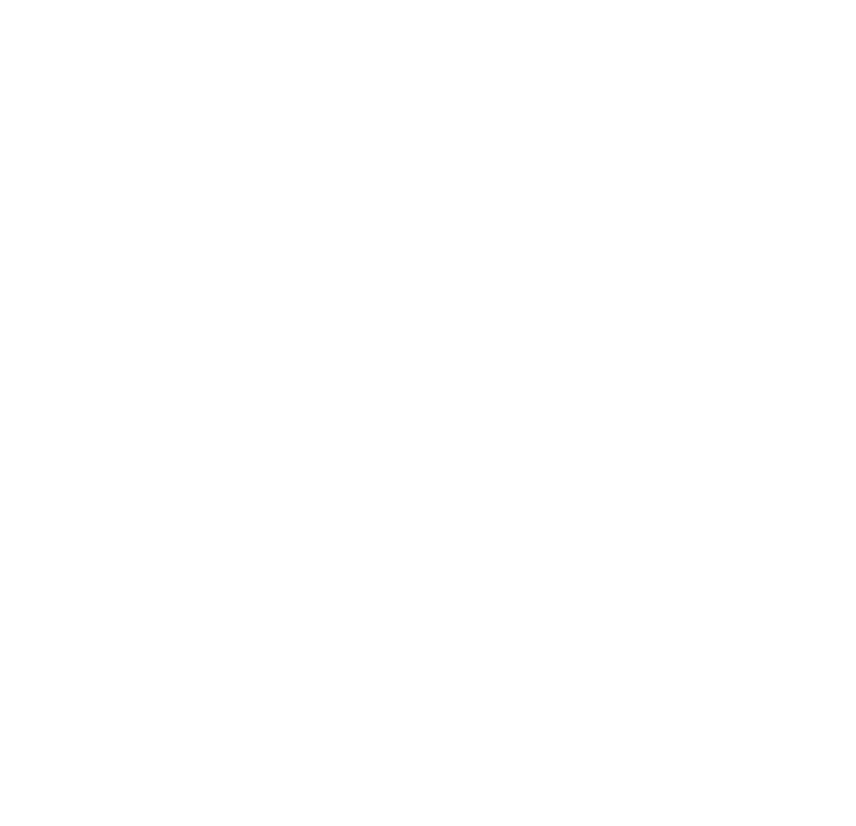 The Wynn Group logo