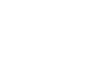 lilys creative hair studio logo salon