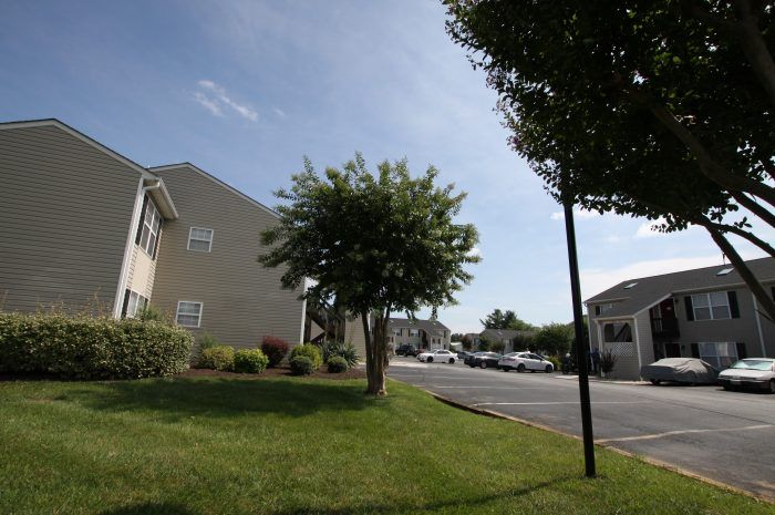 Timber East Apartments Photo