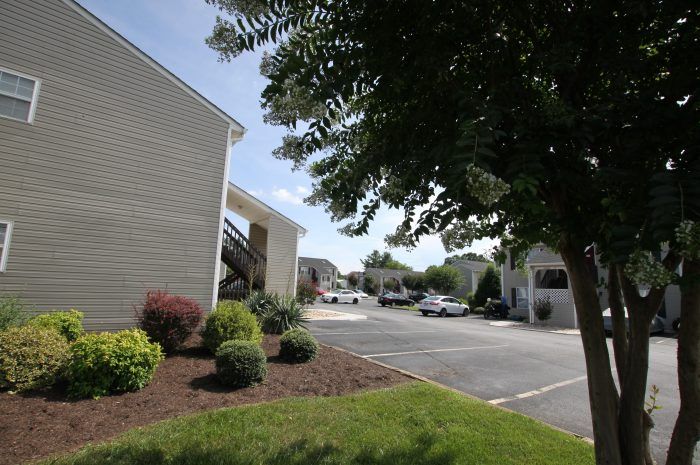 Timber East Apartments Photo