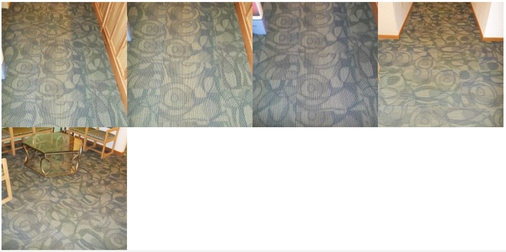 Carpeting in a building hallway, shades of green with circular patterns.
