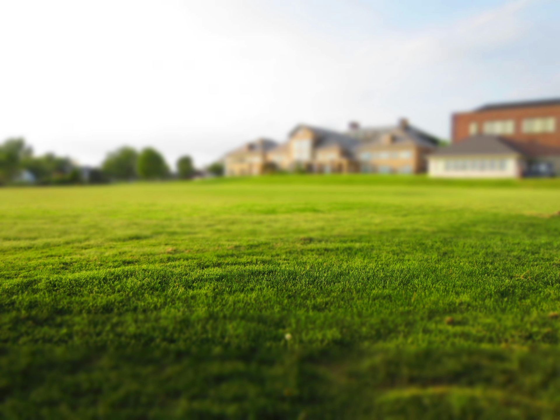 Blurred suburban school building beyond a green lawn under bright daylight