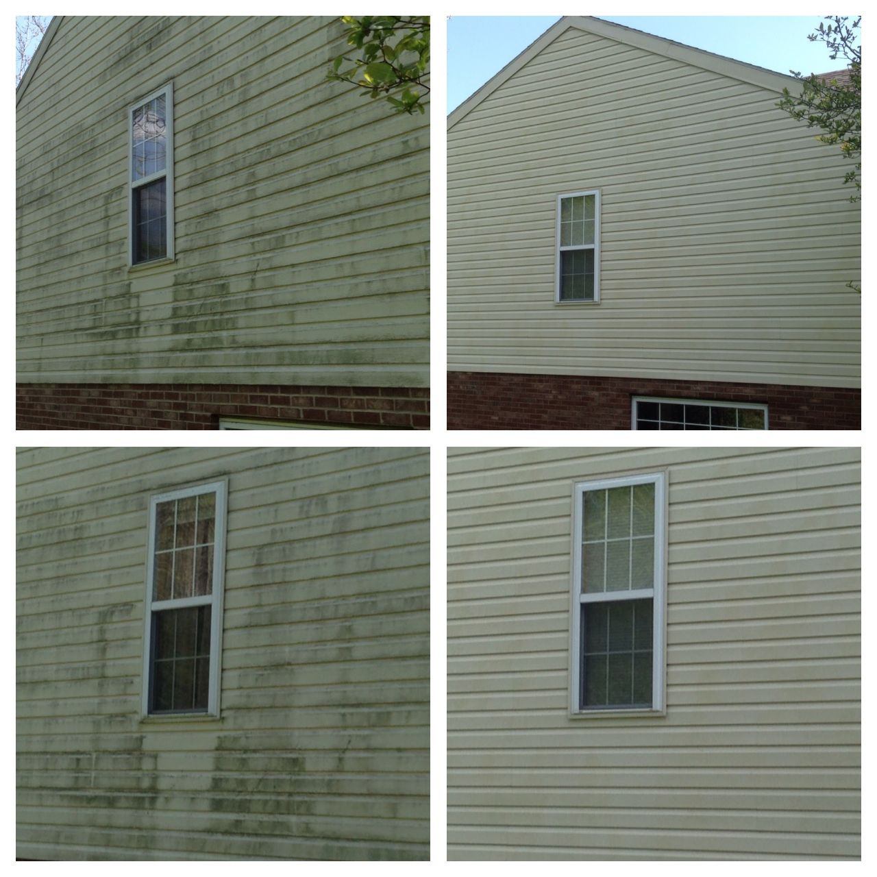 Before-and-after comparison of a light-colored house siding showing the removal of green algae and dirt buildup.