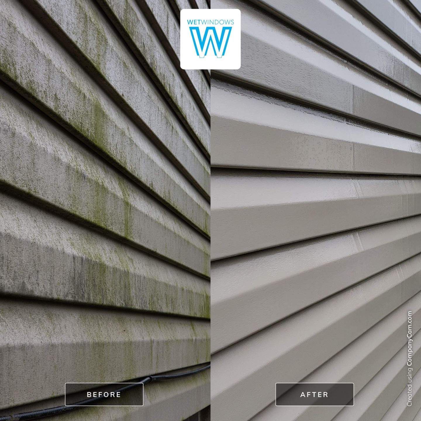 Split image showing dirty gray vinyl siding with green algae before cleaning and clean, restored siding after cleaning.