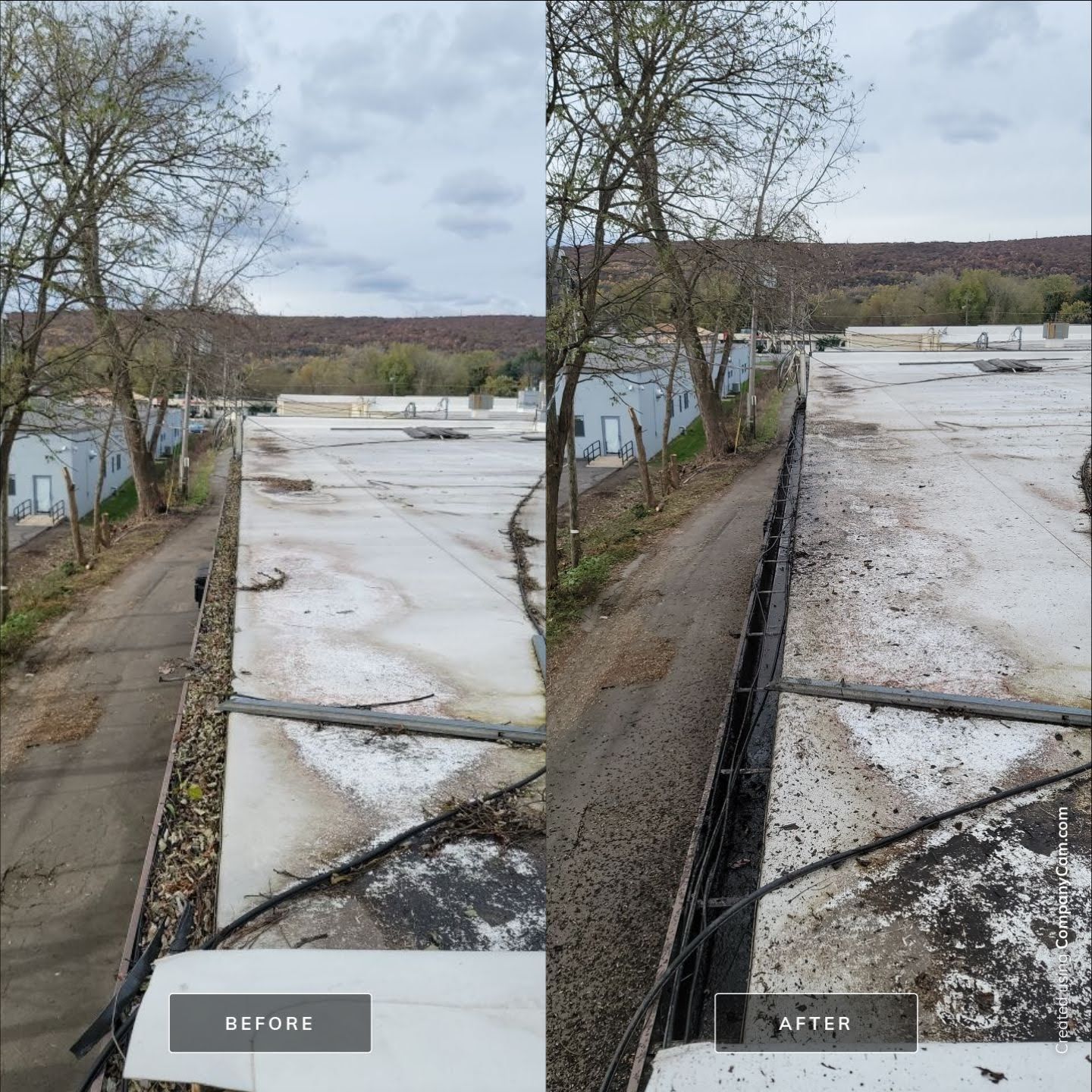 A before and after comparison of a commercial roof gutter cleaning, showing debris removal from the roof edge.