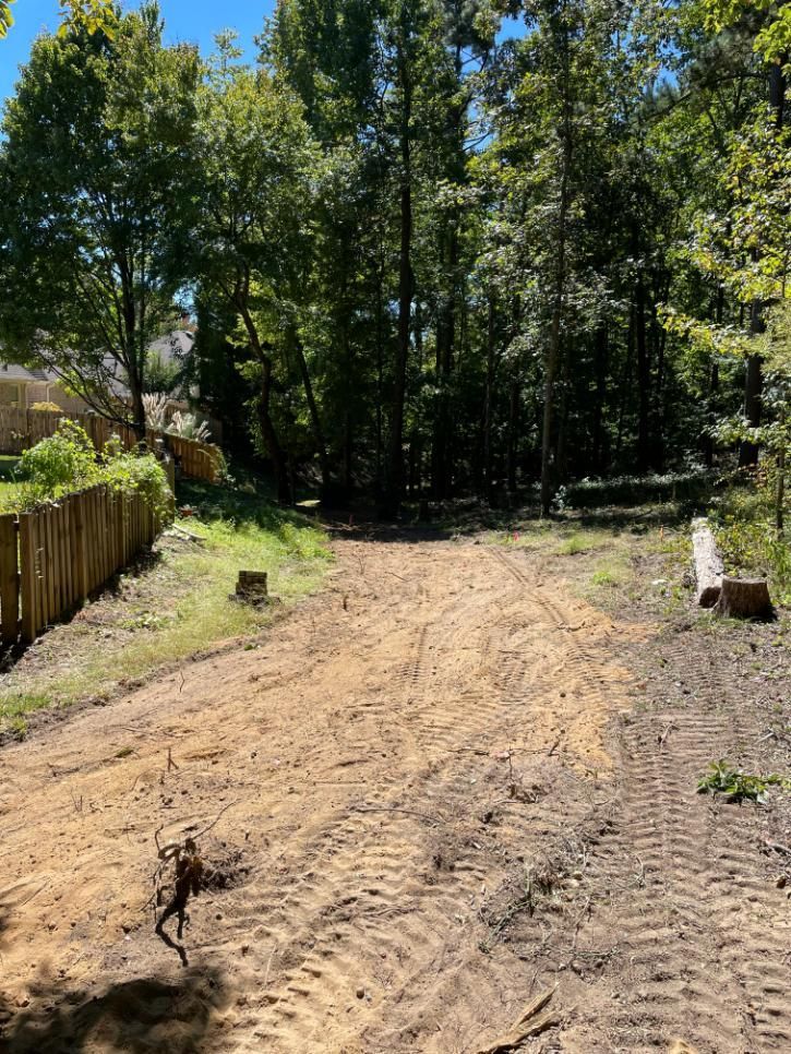 Dirt path through cleared area with trees in background and a wooden fence on the left.