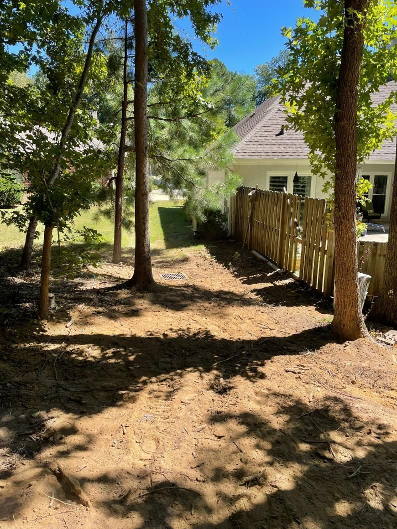 A sunny backyard with trees, dirt ground, a wooden fence, and a house in the background.