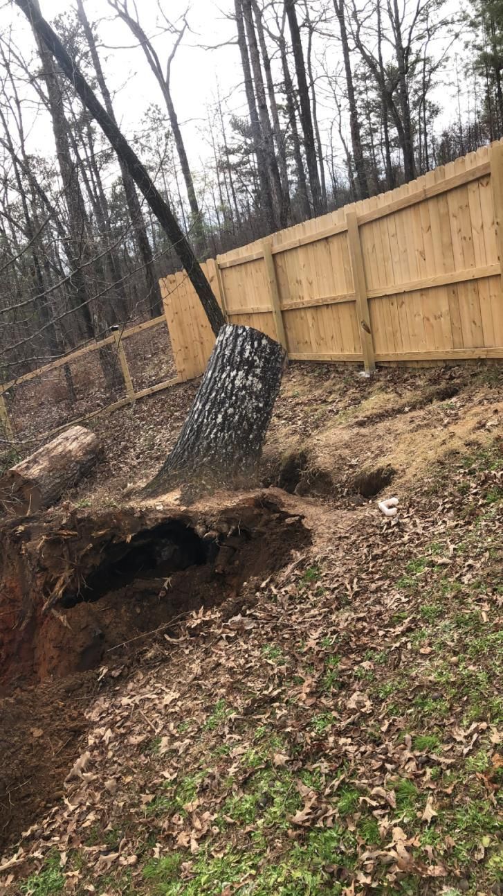 Tree uprooted on a hill, next to a wooden fence, with exposed roots and dirt.