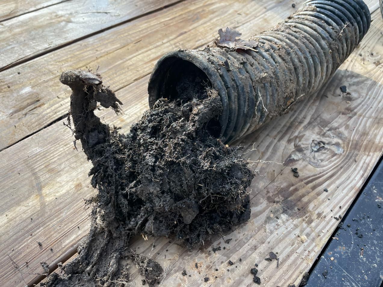 A black corrugated drainpipe filled with dark soil and roots, lying on wooden planks outdoors.