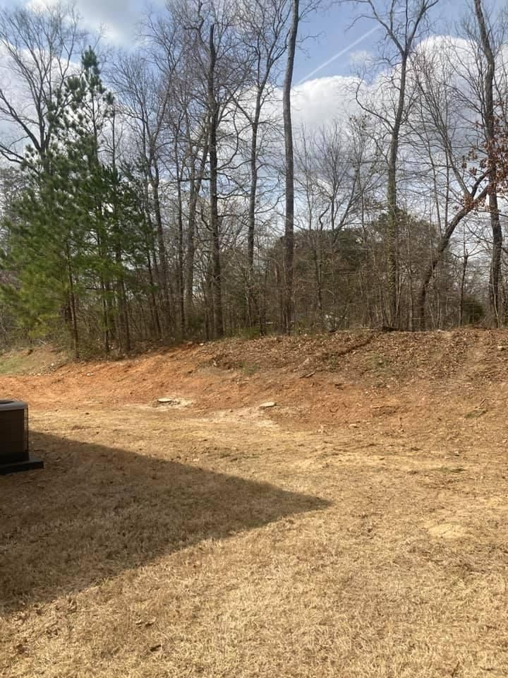 Dry yard with bare trees and a small hill in the background under a partly cloudy sky.