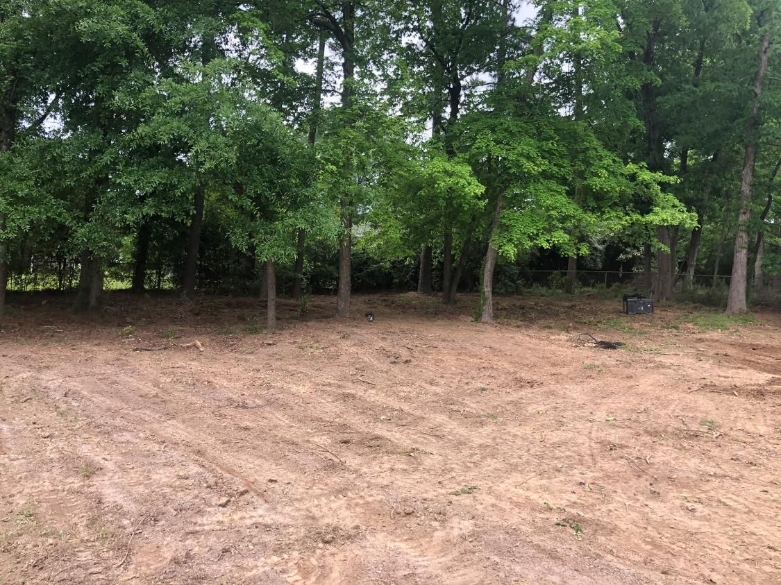 Brown earth in front of a line of green trees. Cloudy sky.