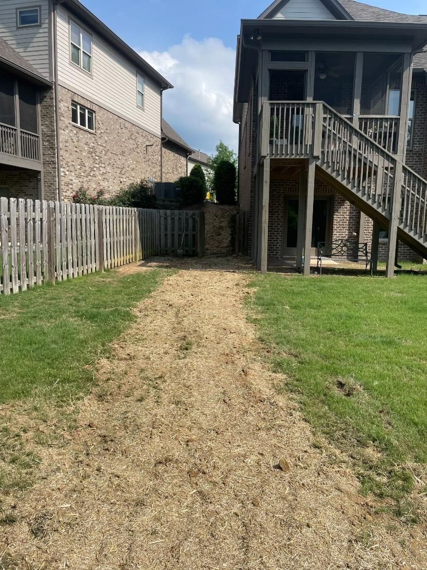 Backyard with patchy dead grass, wooden fences, and houses in the background.