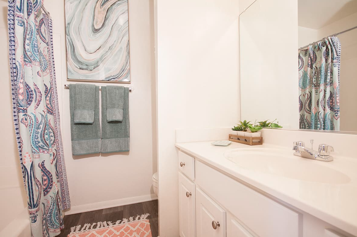 A bathroom with a sink , mirror and shower curtain.