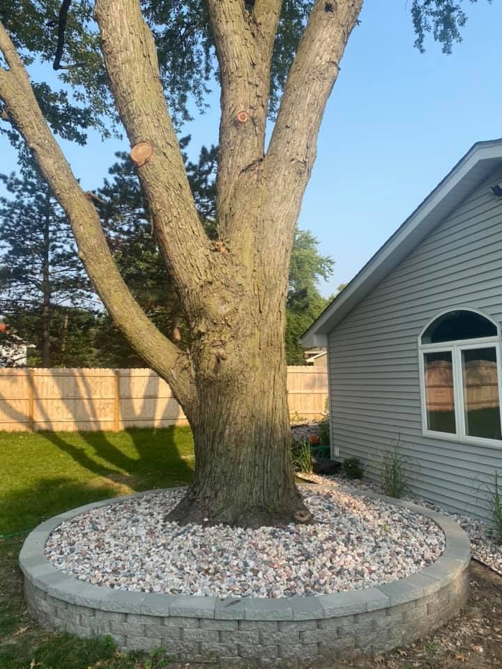 A tree is surrounded by gravel in front of a house