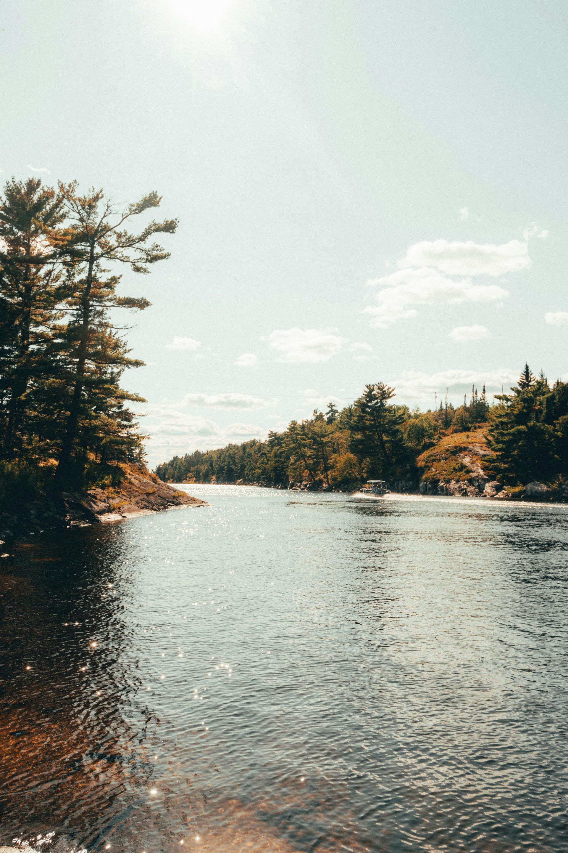 Un grand plan d'eau entouré d'arbres par une journée ensoleillée.