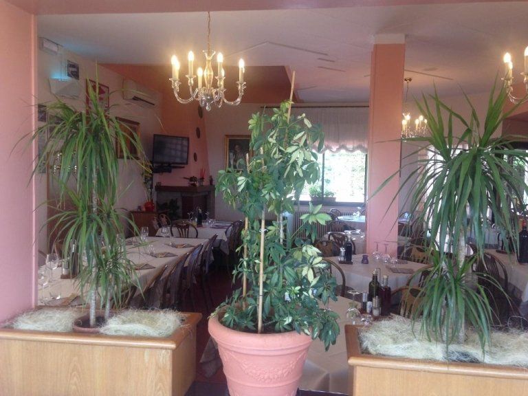 Interno del ristorante