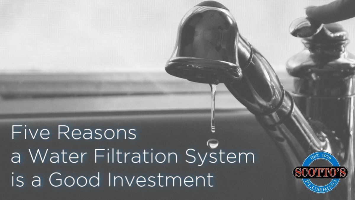 water filtration clearwater florida