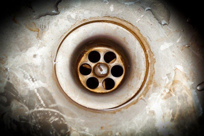 Drain Flies/Moths: Signs of Household Plumbing Leaks - Dengarden