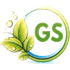 GS