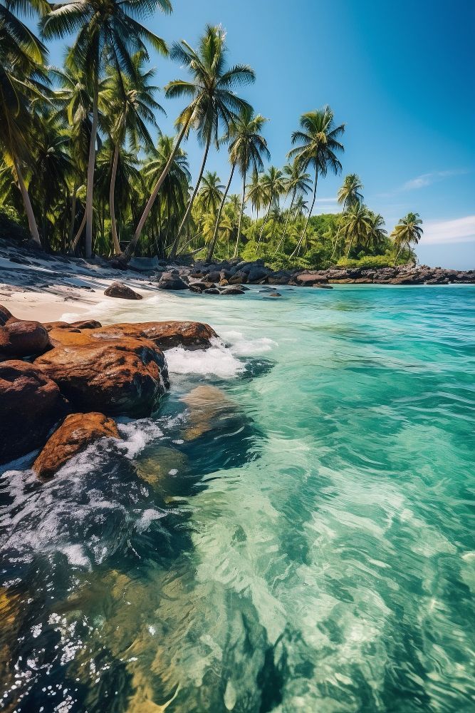 A tropical beach with palm trees and turquoise water