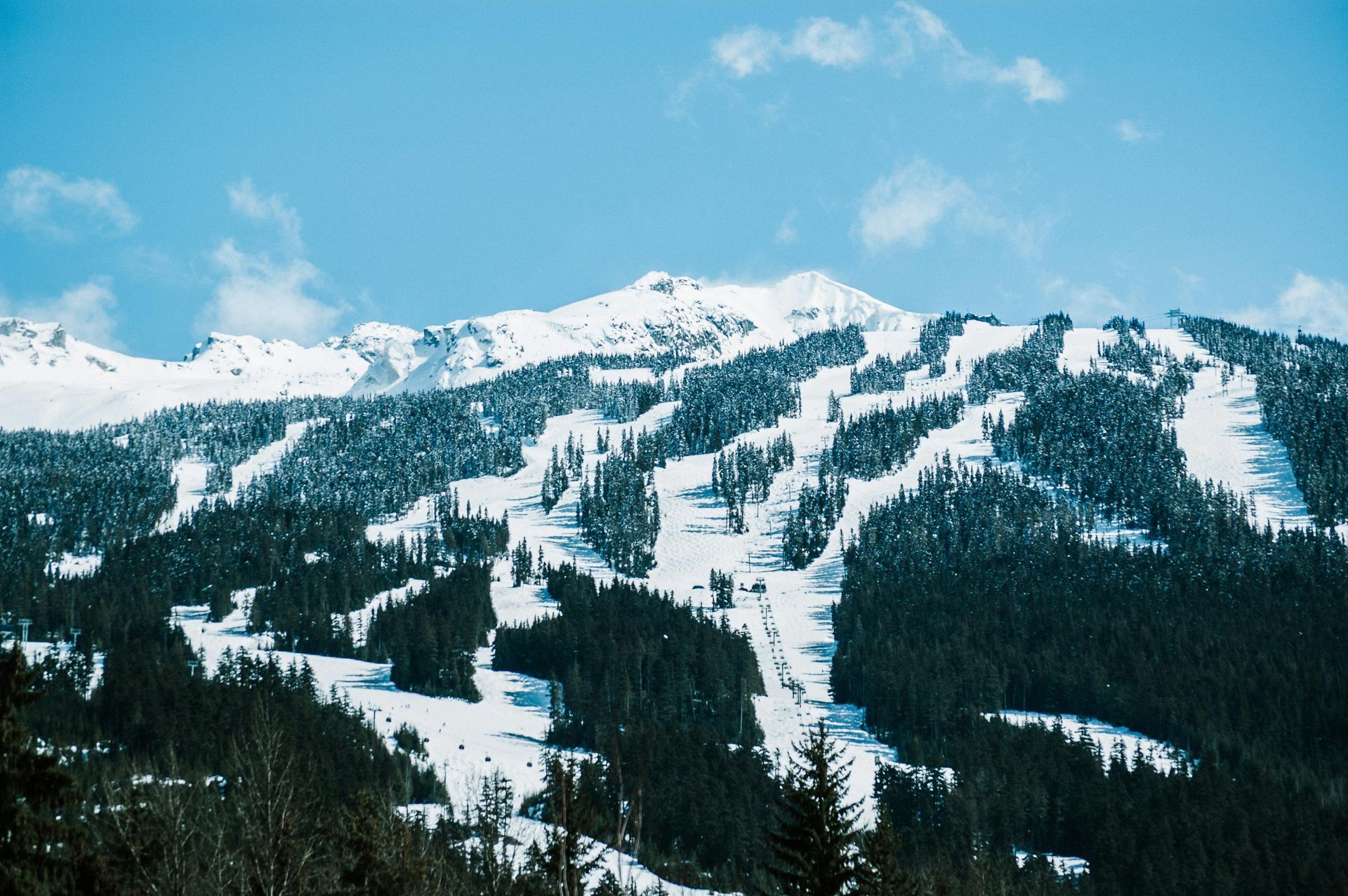 A snowy mountain covered in trees with a blue sky in the background