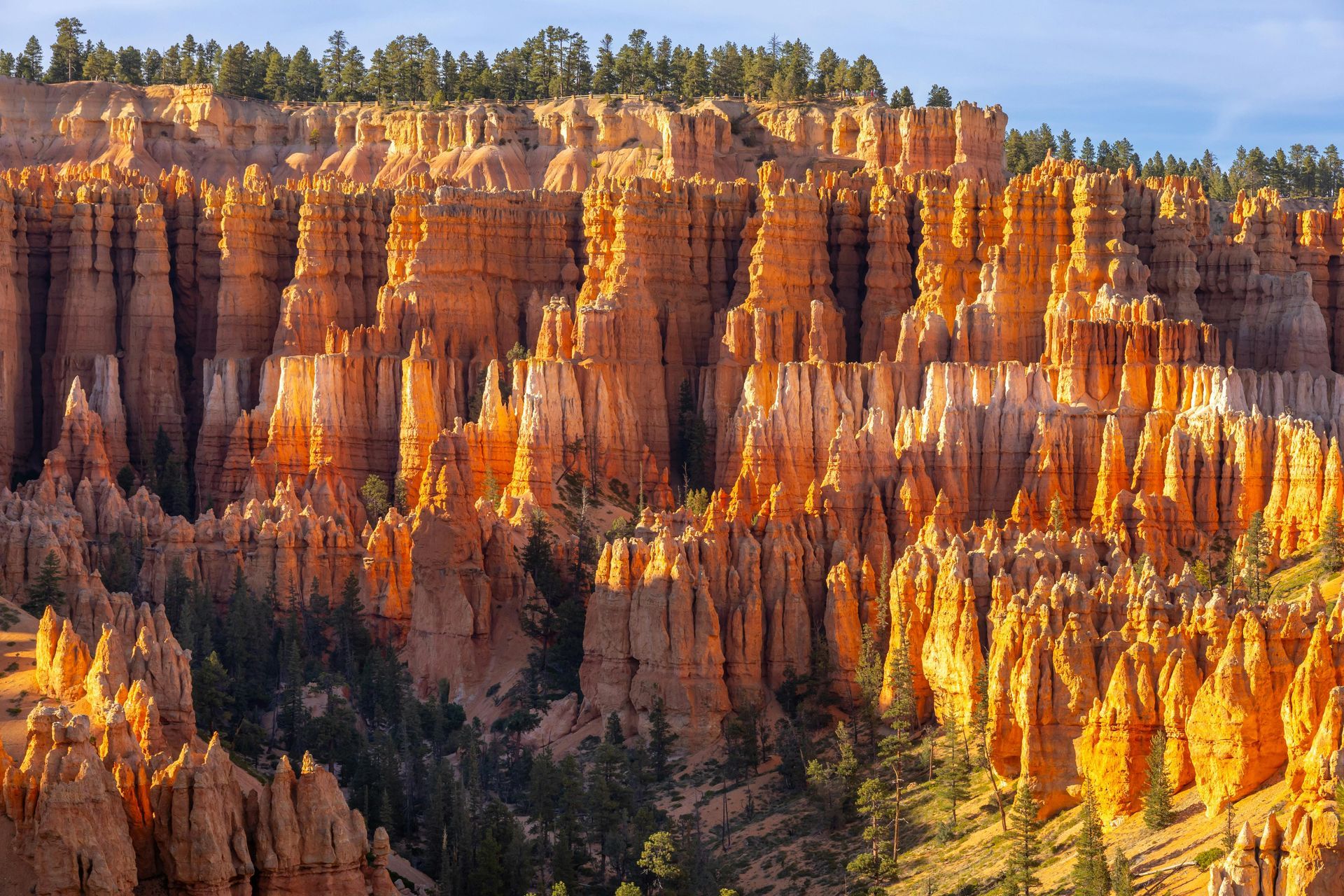 A canyon filled with lots of rocks and trees