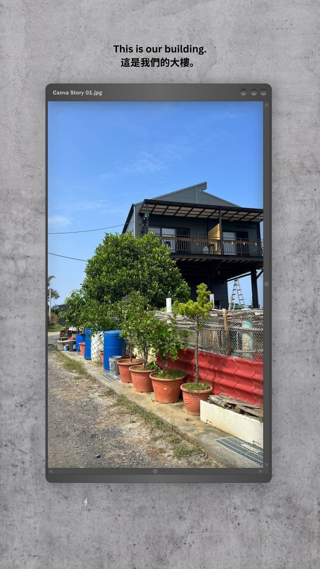 A picture of a house with a lot of potted plants in front of it.