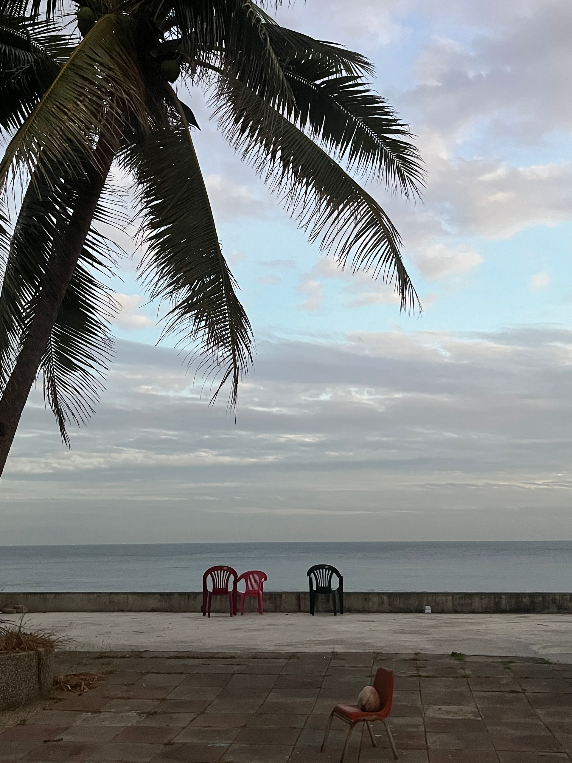 two red chairs are sitting on the beach under a palm tree .