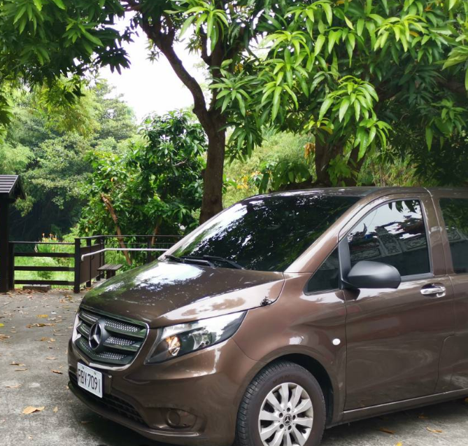 A brown mercedes van is parked under a tree