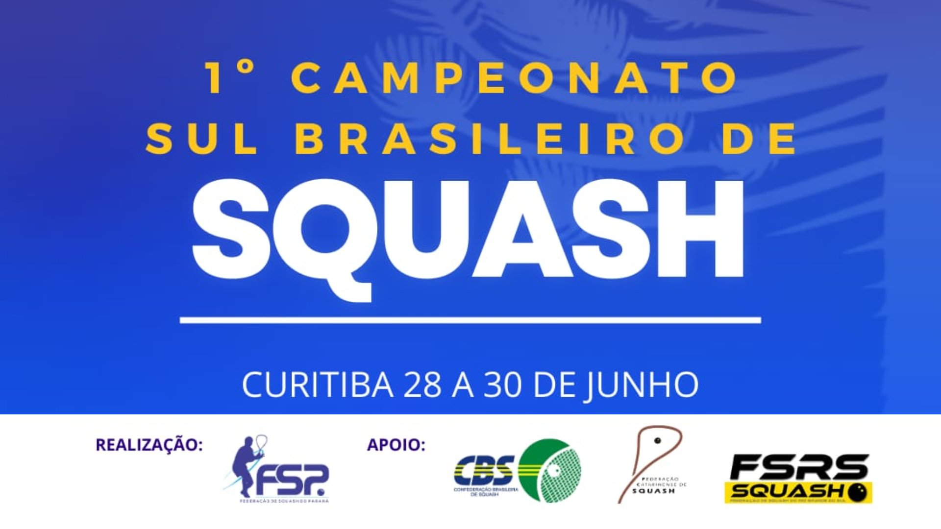 1º Campeonato Sul Brasileiro