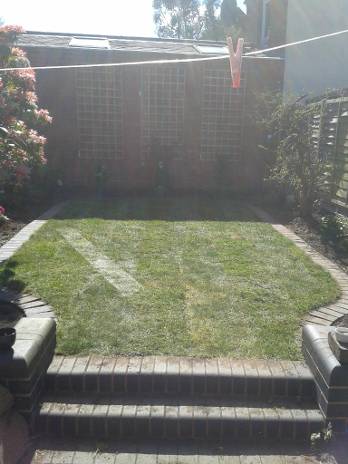 neatly trimmed lawn