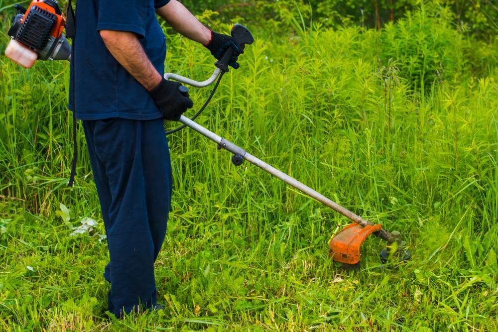 A Man is Using a Lawn Mower to Cut Grass in a Field — JC Tree & Garden Services in Berserker, QLD