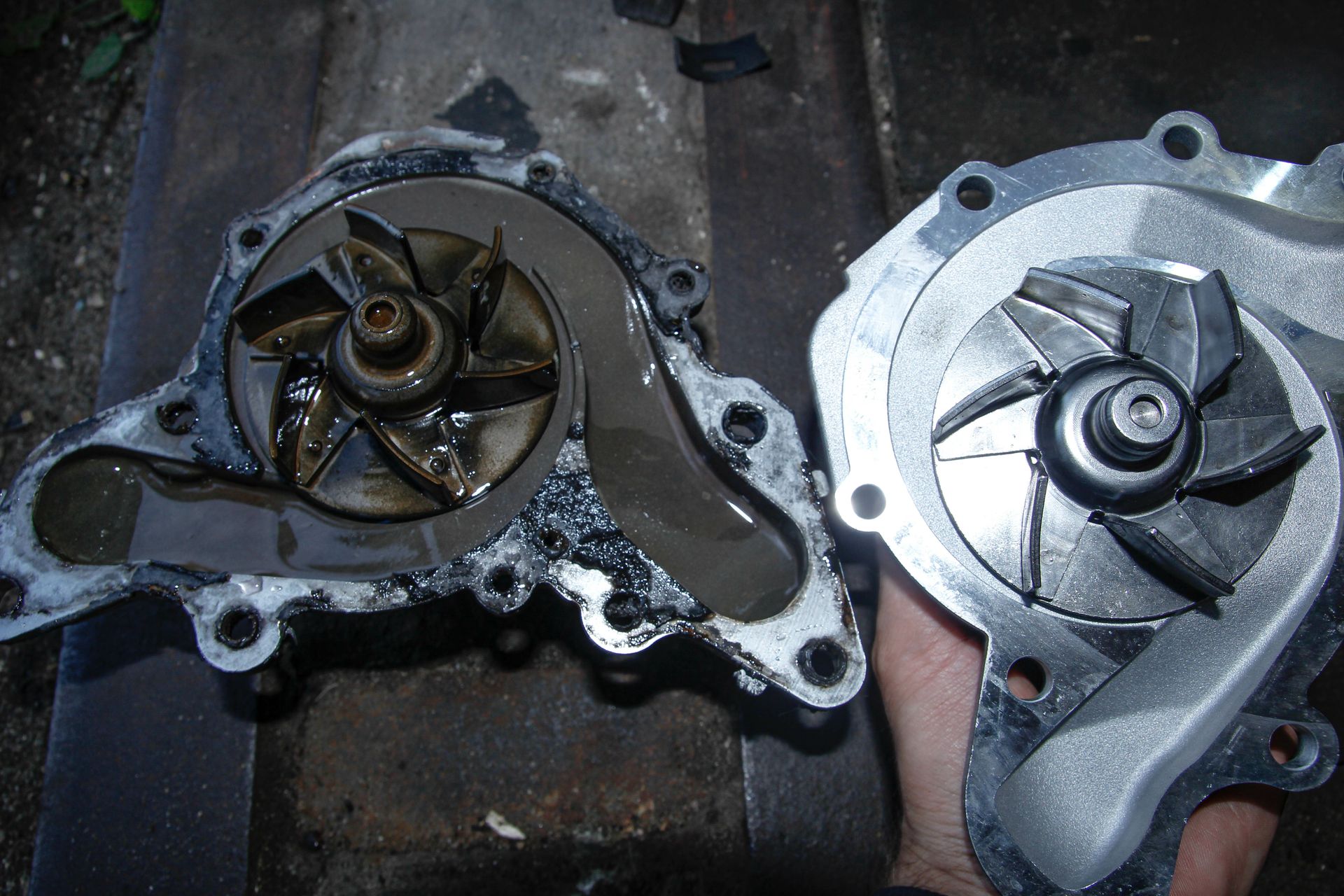 Why Are the Timing Belt and Water Pump Replaced Together? | Silvhorn Automotive