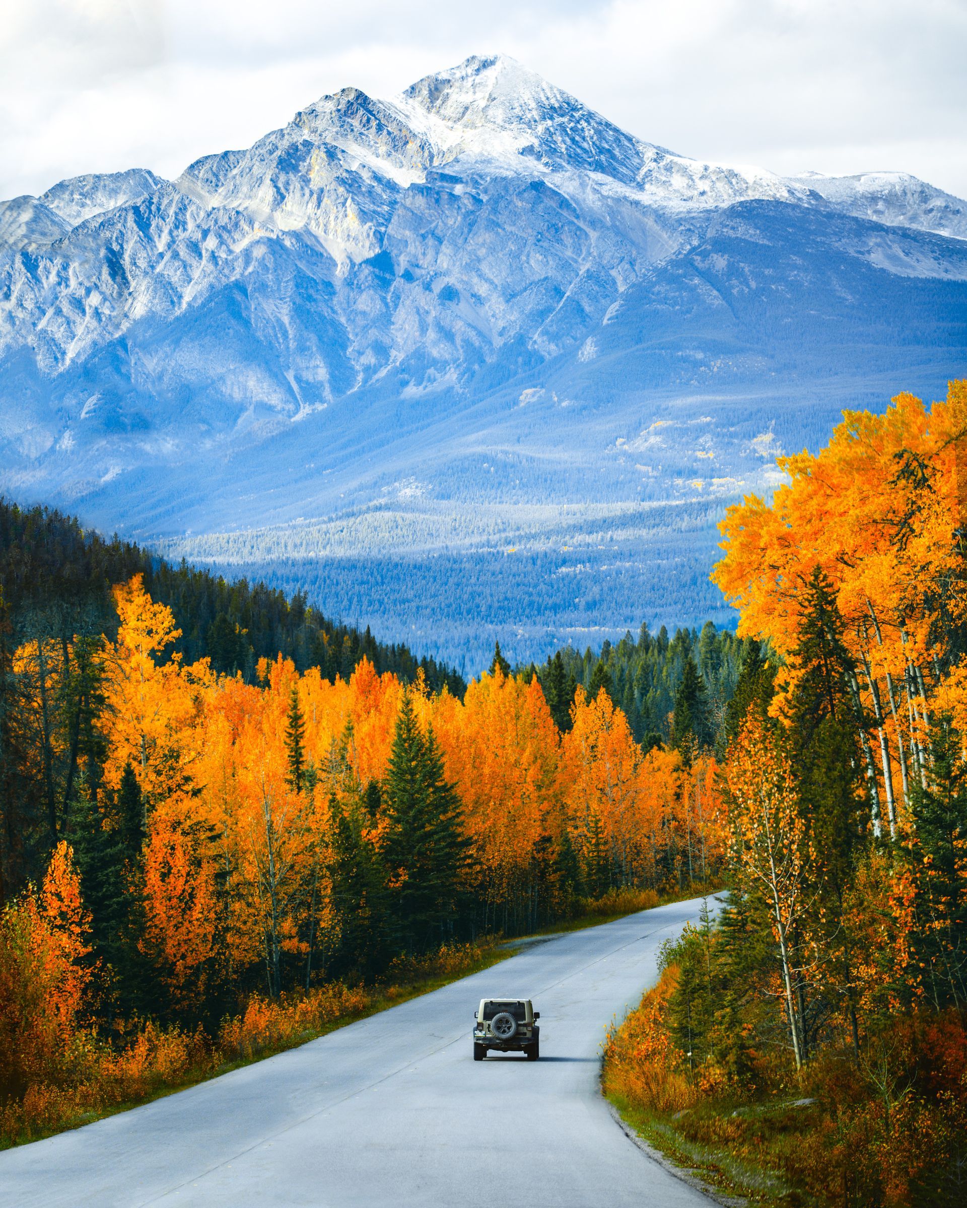 Tips for Preparing Your Car for the Fall | Silvhorn Automotive