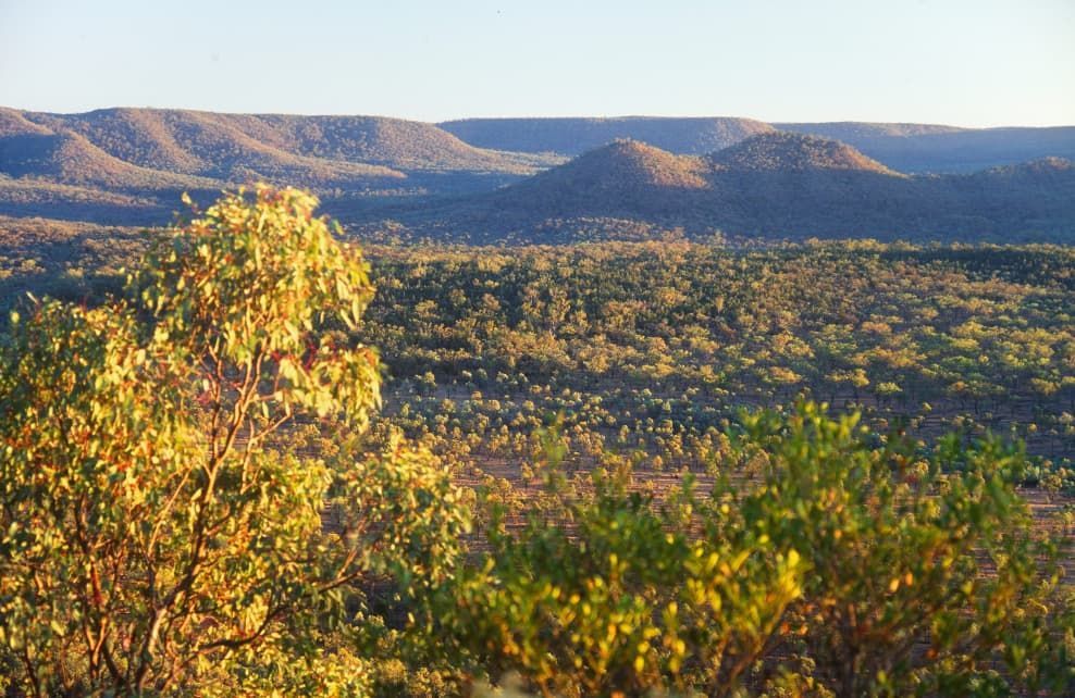 Rolling Hills And Dense Forest Landscape — Capricorn Communications in Central Highlands, QLD