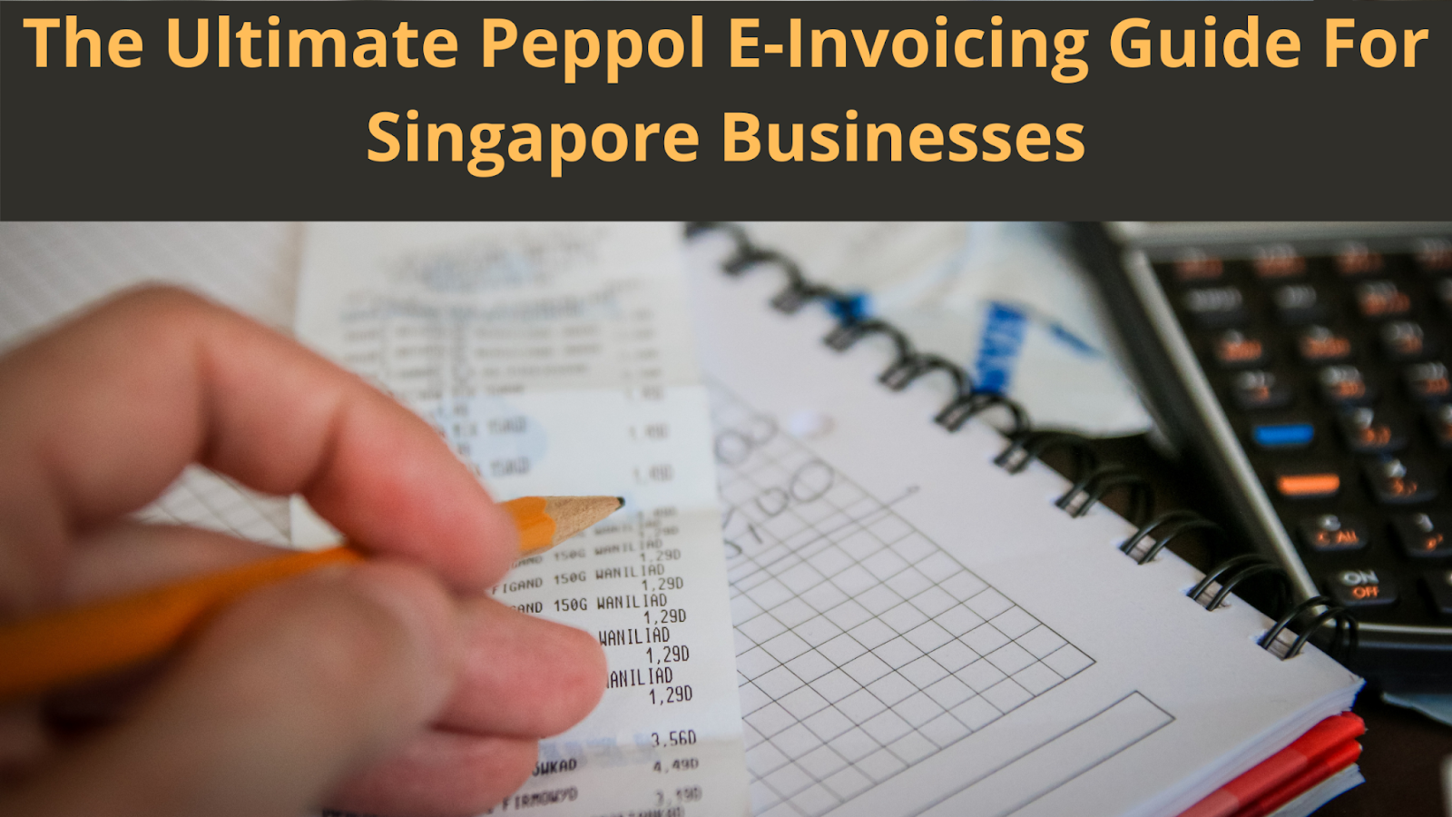 peppol e-invoicing