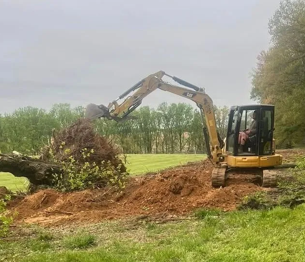 Yellow excavator digging out a stump next to a field to prepare land for excavation.