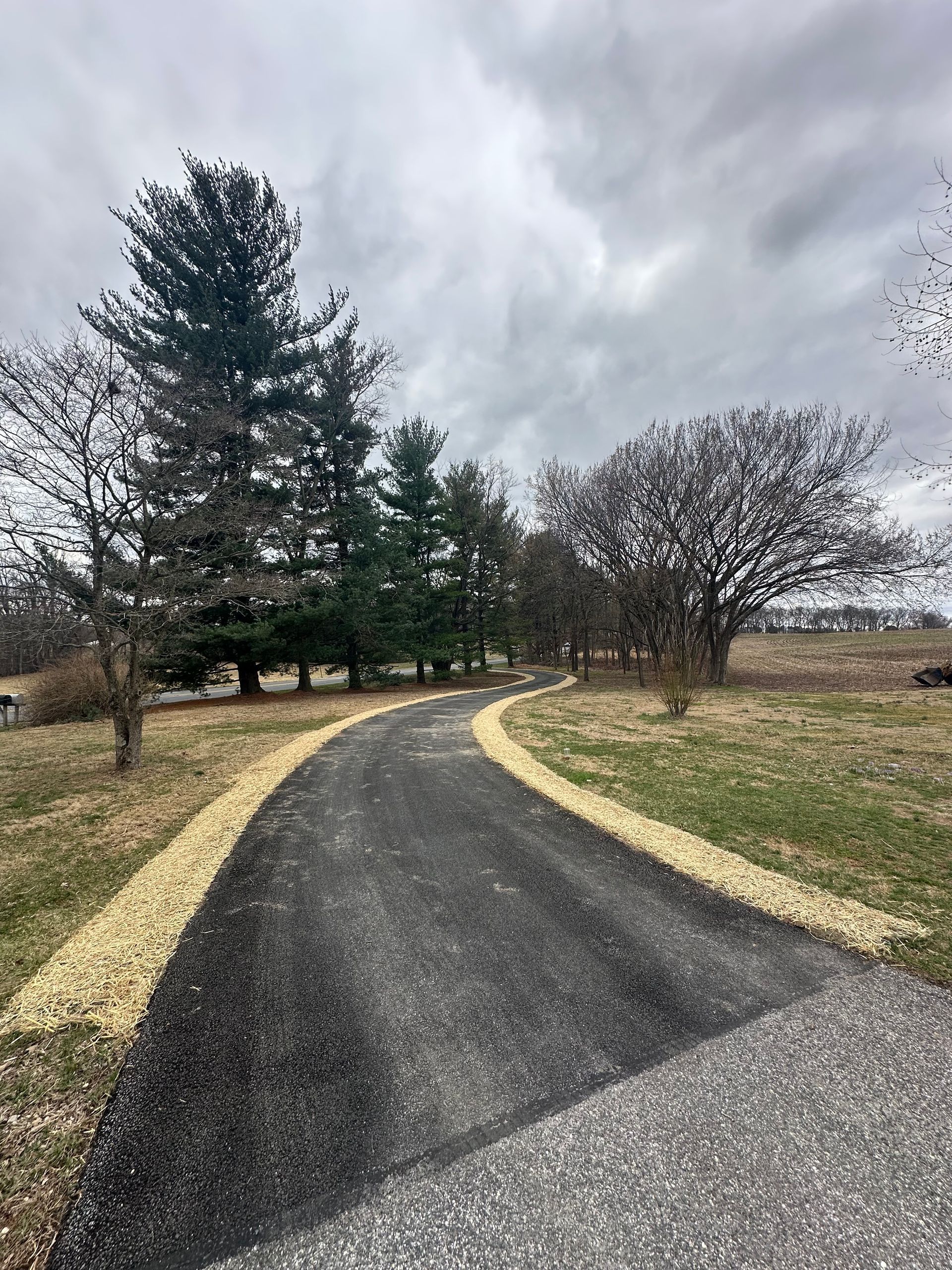 A curvy road going through a field with trees on both sides.