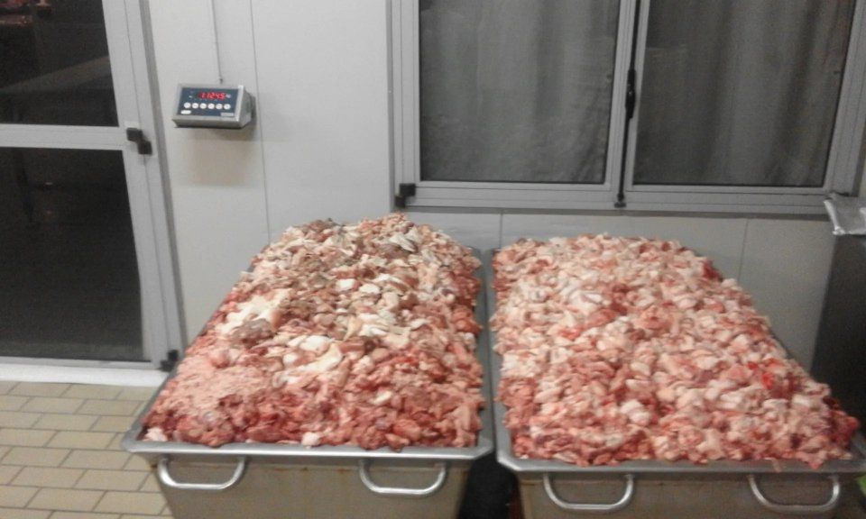carne di maiale da lavorare