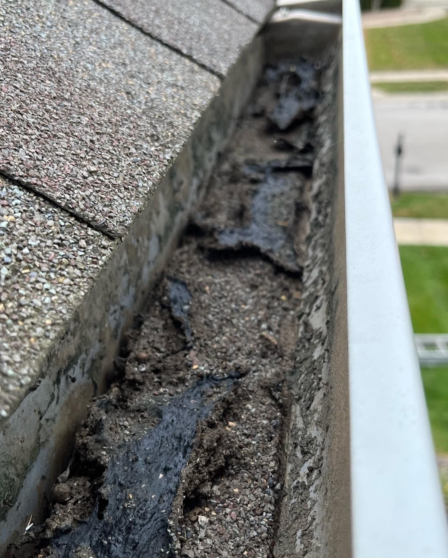 Close-up of a house gutter that is filled with roof granules and debris