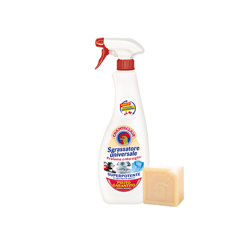 Detergente mantenitore concentrato