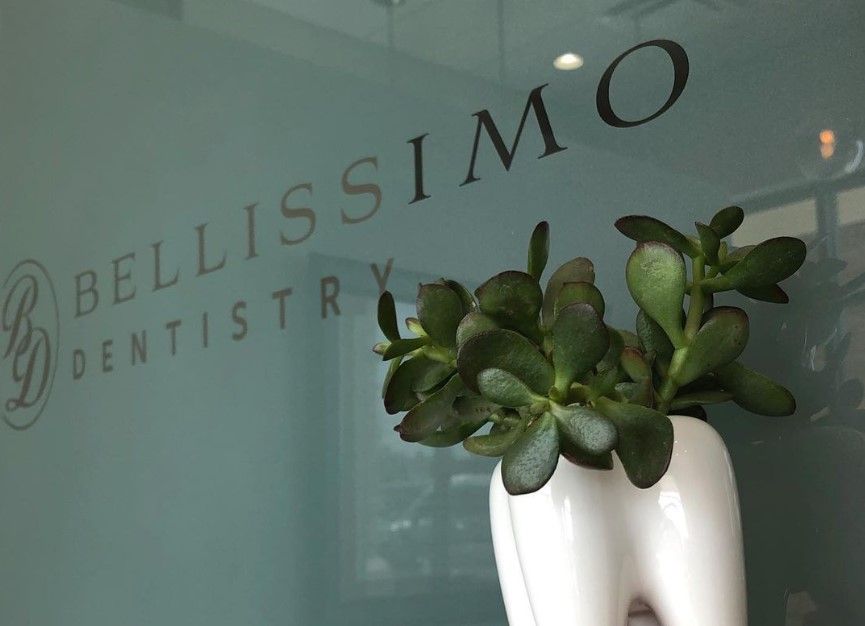 A plant in a vase in front of a glass door that says bellissimo dentistry